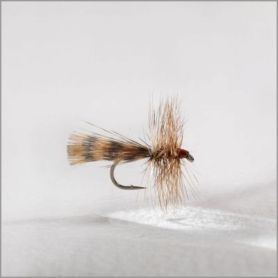 La mouche u00e0 Jo