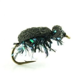 Insecte terrestre