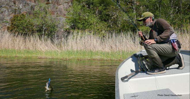 Pêche du brochet en Suède