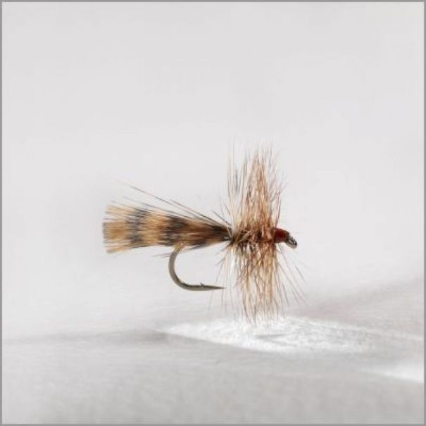 La mouche à Jo