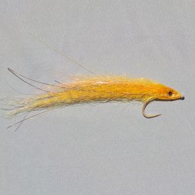 Mouche bar Baie de Morlaix Sterec ORANGE