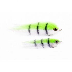 Tiger fish SW02