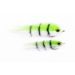 Tiger fish SW02