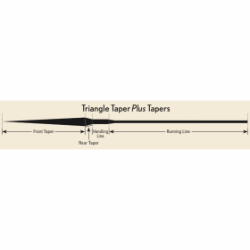 Triangle Taper Plus ROYAL WULFF