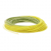 RIO PREMIER GOLD Moss-gold (jaune-olive)