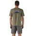 Tee-shirt Homme Patagonia Home Water Trout 
