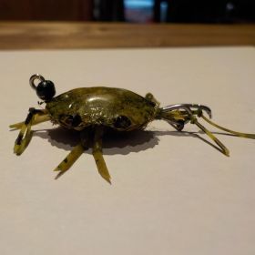 Crabe CALLOT modèle plombage réglable