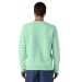 Sweatshirt Fitz Roy Icon Uprisal Crew