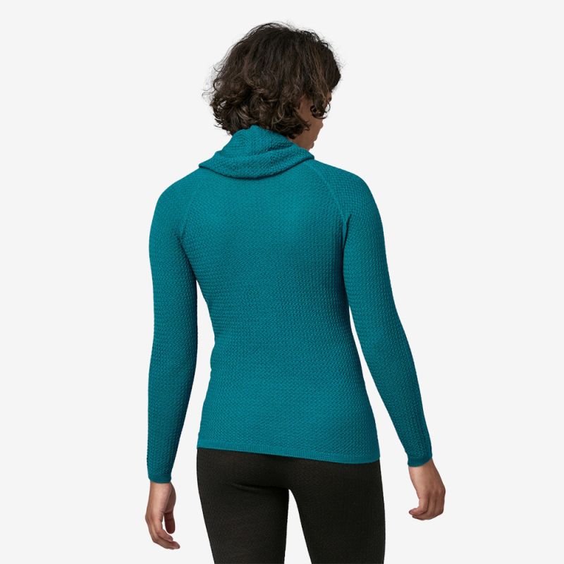 Patagonia capilene hotsell air hoody women