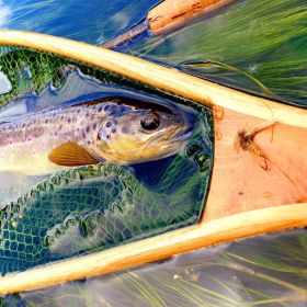 Mouche Danica No Hackle DK Flyshop