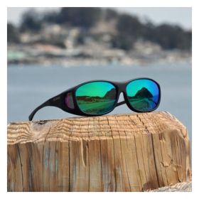 Lunettes polarisantes COCOONS Gris bleu