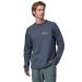 Sweat Patagonia LW Unity Fitz Wildrise Crew