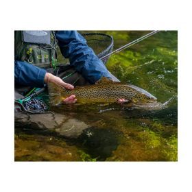 Canne à mouche Nymphmaniac Twintip Fly Rod VISION