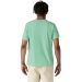 Tee shirt unisexe Fitz Roy Icon Responsibili-Tee