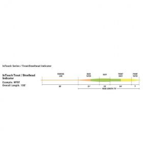 Profil de la soie Soie RIO Trout-Steelhead indicator InTouch