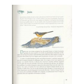 Les carnets d’un pêcheur de truites – P. Phélipot