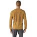 M's LS Capilene Cool Daily Graphic Shirt