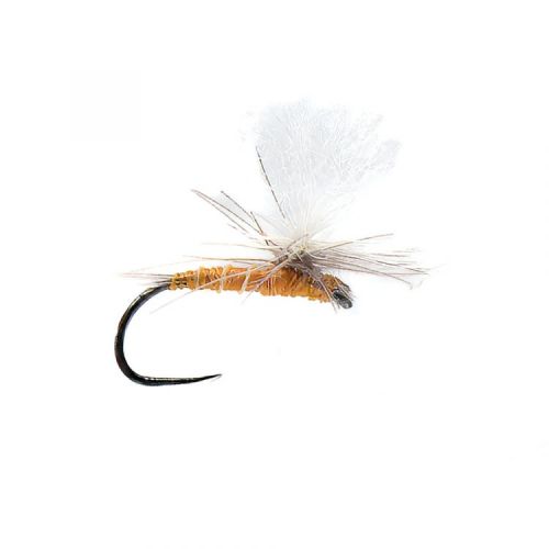 Mouche sèche type mouche parachute P 21