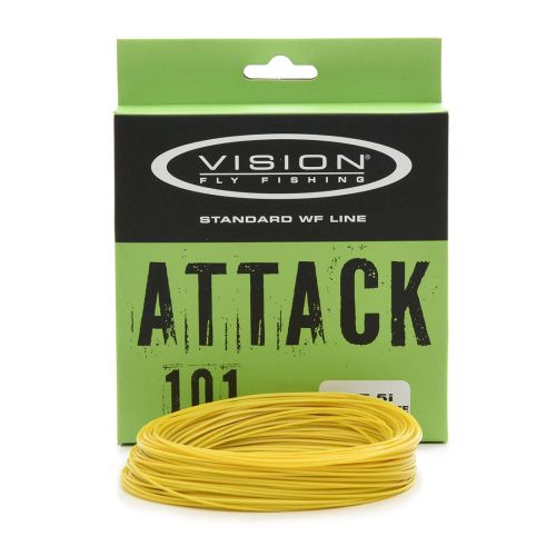 Vision Attack Intermediate