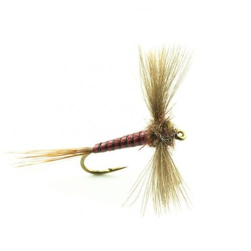 Mouche Devaux Mouche sèche type spent JBS 01