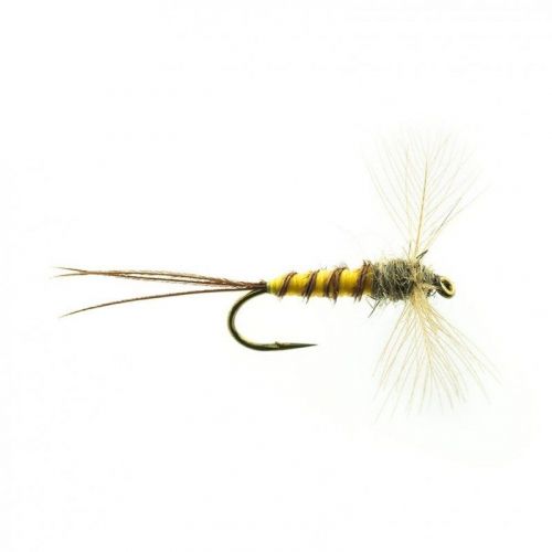 Mouche Devaux Mouche sèche type spent JBSMAI 01