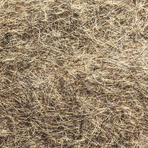 Dubbing lièvre DVX poils courts