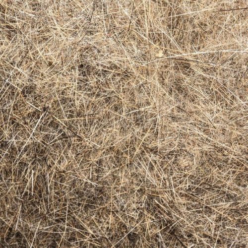 Dubbing lièvre DVX poils moyens