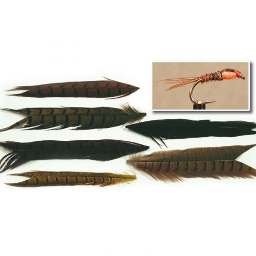 Plumes de queue de faisan