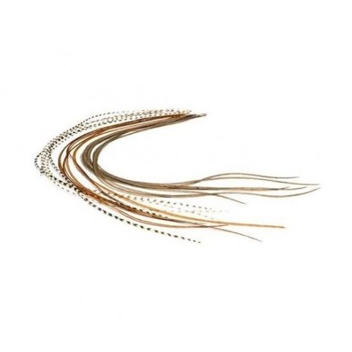 Lancettes de coqs XS DEVAUX