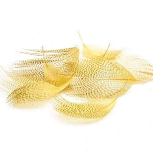 Plumes de canard d'été Devaux