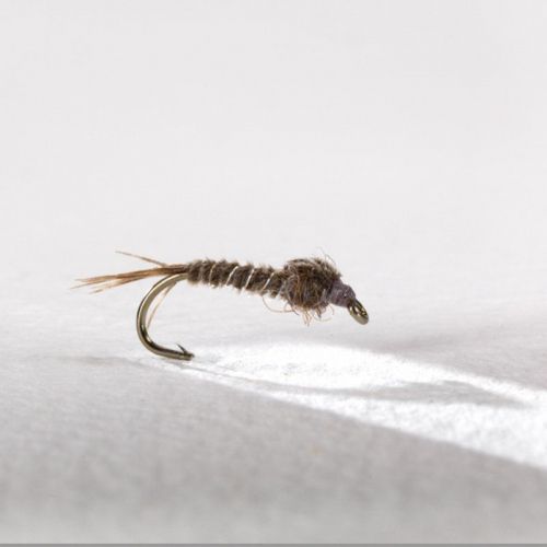 Mouche Yann Le Fèvre Plouaisienne Light