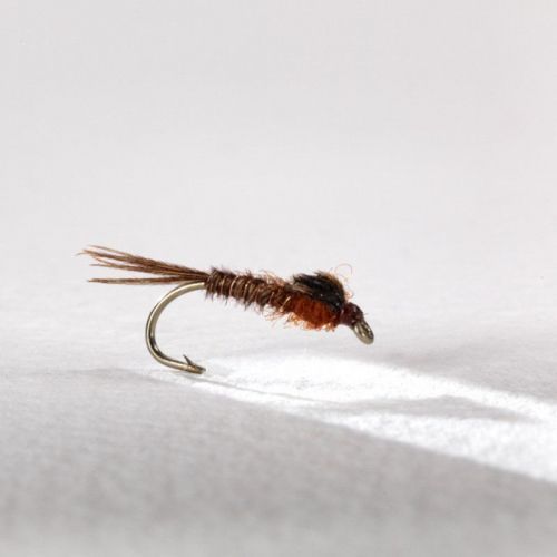Mouche Yann Le Fèvre Plouaisienne Medium