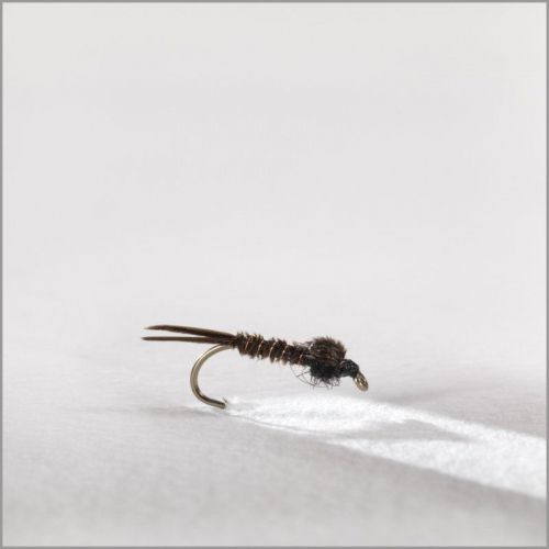 Mouche Yann Le Fèvre Plouaisienne Dark