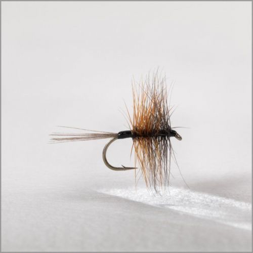 Mouche Yann Le Fèvre Liscorno Dark