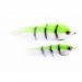 Tiger fish SW02