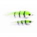 Tiger Fish SW 02