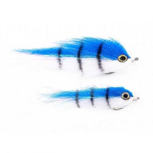 Tiger fish SW03