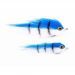 Tiger fish SW03