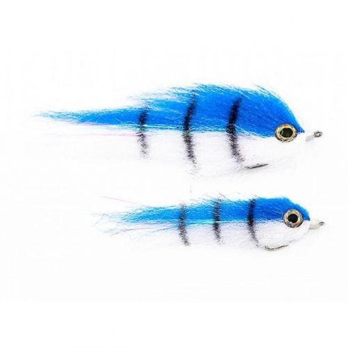 Tiger fish SW03