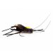 Mouche Devaux Cricket 02