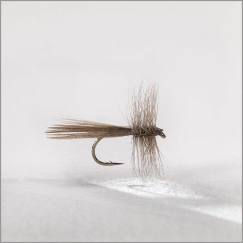 Mouche Yann Le Fèvre Rustique Light