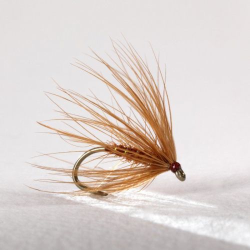 Mouche Yann Le Fèvre Qumpéroise Medium