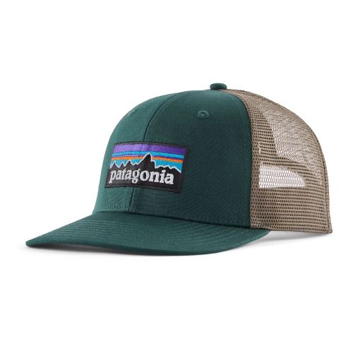 Casquette Patagonia P-6 Logo Trucker Hat CASG