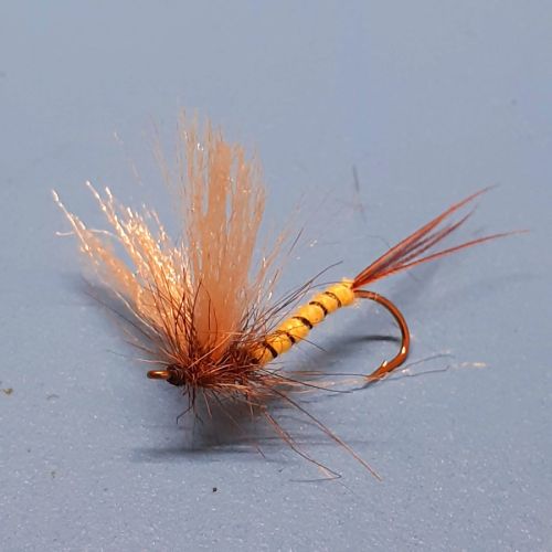 Mouche Danica No Hackle DK Flyshop