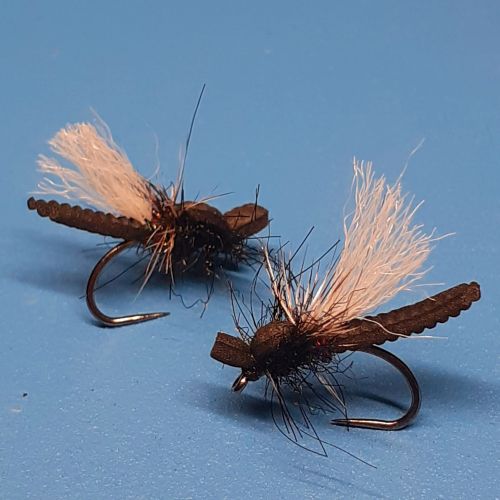 Mouche terrestres de printemps - Biblio Marci