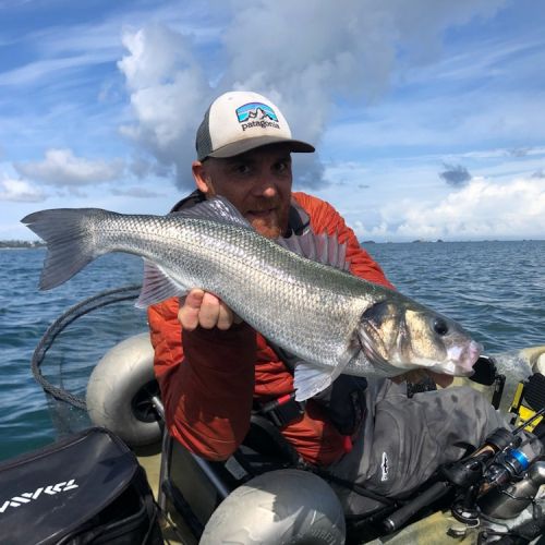 Stage de pêche du bar en mer