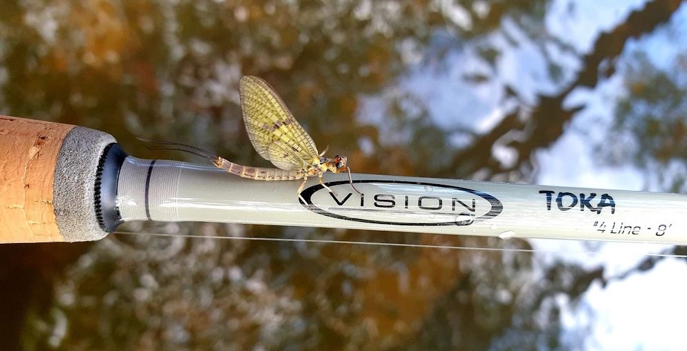 essai-canne-mouche-toka-vision-1.jpg