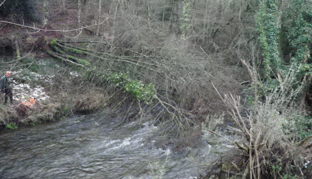 Rivière avant nettoyage